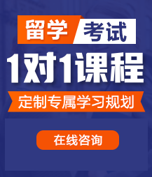 日逼淫色留学考试一对一精品课